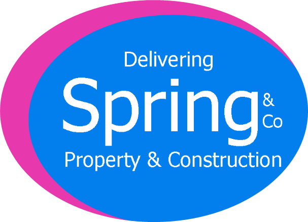 Spring & Co Logo